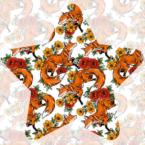 Transparent - Foxes